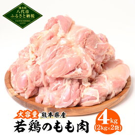 【ふるさと納税】 大容量 熊本県産 若鶏のもも肉 合計4kg 2kg×2袋 若鶏 鶏肉 鳥肉 もも肉 お肉 国産 九州産 冷凍 送料無料