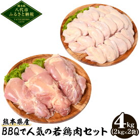 【ふるさと納税】熊本県産 BBQで人気の若鶏肉セット 合計4kg もも肉 手羽先 各2kg 若鶏 鶏肉 鳥肉 お肉 国産 九州産 冷凍 大容量 送料無料