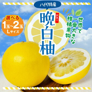 yӂ邳Ɣ[Łzys\z yIׂʐz y󂠂zsY ӔM 1`2 k ʕ t[c F{Y ΂؂ t[c k Yi Yi  W{TCY 