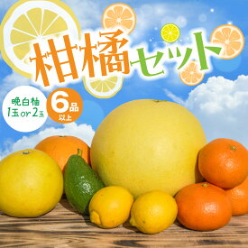 【ふるさと納税】令和8年熊本地震復興支援 【先行予約】 柑橘セット 6品以上（晩白柚1〜2玉入り） 【晩白柚の玉数が選べる】 ばんぺいゆ みかん 柑橘 果物 果実 くだもの フルーツ 特産品 名産品 お取り寄せ ジャンボサイズ 熊本県 八代市 送料