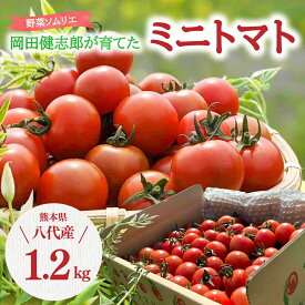 【ふるさと納税】野菜ソムリエ 岡田健志郎が育てた ミニトマト 1.2kg トマト プチトマト とまと 野菜 生野菜 青果物 春 夏 旬 冷蔵 熊本県 八代市産 九州 送料無料 支援 産地直送【生産者支援】