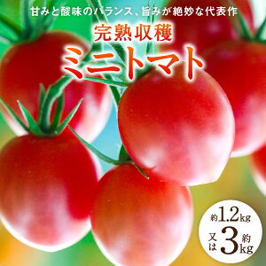 yӂ邳Ɣ[Łzys\zyIׂeʁzyÂ݂Ǝ_̃oXA|݂▭ȑ\z sY nn~jg}g 1.2kg`3kg F{ g}g  VN { Y B y2025N11