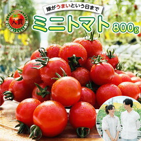 【ふるさと納税】嫁がうまいと言う日まで ミニトマト 800g 野菜 トマト 春 夏 旬 新鮮 サラダ 生野菜 国産 熊本県産 八代市 春 夏 旬 九州 送料無料