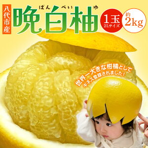 yӂ邳Ɣ[Łz ys\z sY ӔM 1 2LTCY 2kg ʕ  t[c k k 蕨 Y F{Y Y  y2025N12{菇z