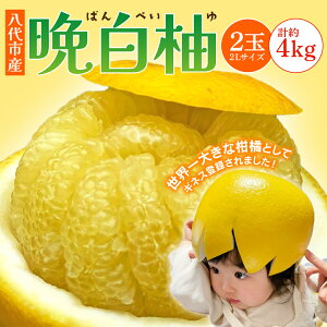 yӂ邳Ɣ[Łz ys\z sY ӔM 2 2LTCY 4kg ʕ  t[c k k 蕨  k̍ N W[V[ u₩ȊÖ u₩ȍ Y