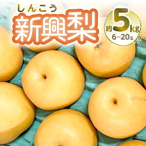 yӂ邳Ɣ[Łzys\zV 5kg 6-20  Ȃ F{Y y2025N10{菇z