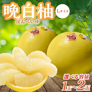 yӂ邳Ɣ[Łz ys\z yIׂʐz F{sY ӔM LTCY 1ʁ`2 1ʂ1.5kg ʕ  t[c ΂؂ k { Y Yi F{ s  y
