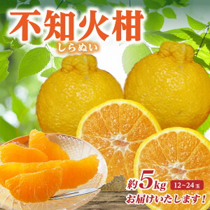 yӂ邳Ɣ[Łz ys\z smΊifR|Ɠij 5kg 12`24 ʂ ʕ t[c  k { Y F{  y2026N1{菇z