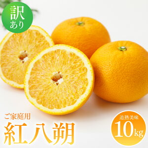 yӂ邳Ɣ[Łzys\z 󂠂聄 g ƒp 10kg k 񂫂 ʕ  t[c ׂɂ͂ F{ s  y2026N2{菇z