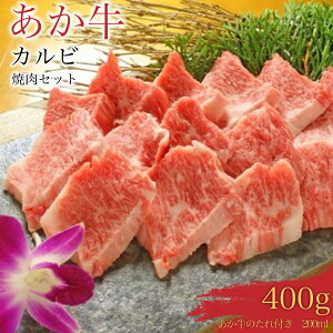 yӂ邳Ɣ[Łz Jr ēZbg400g ̂ 200mlt   o Ⓚ F{Y BY Y 