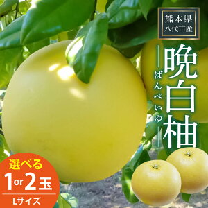 yӂ邳Ɣ[Łzys\zyIׂʐzӔM 1ʁ`2 LTCY ΂؂ k sY Yi ʕ t[c ʕ y2025N12{菇z