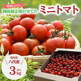 【ふるさと納税】 野菜ソムリエ岡田健志郎が育てた ミニトマト 3kg以上 トマト 野菜 熊本県産 送料無料