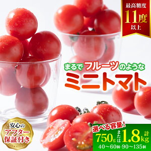 yӂ邳Ɣ[Łzys\zyIׂeʁz܂ t[c ̗l ~jg}g 750g`1.8kg g}g  ₳ Â  y2026N1{菇z