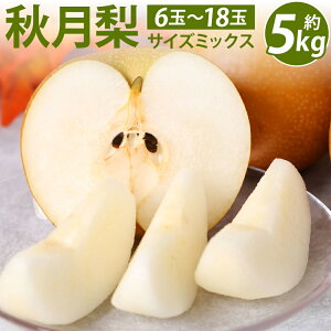 yӂ邳Ɣ[ŁzF{Y H TCY~bNX 5kg 6ʁ`18  iV F{ s ʕ t[c { 