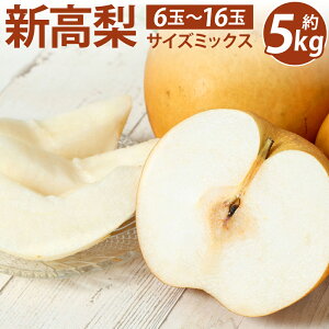 yӂ邳Ɣ[Łz F{Y V TCY~bNX 5kg 6ʁ`16  iV F{ s ʕ t[c { 