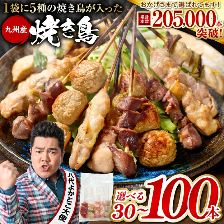 ふるさと納税 【6回定期便】本格炭火焼 やきとり パラちゃん 250g×4 