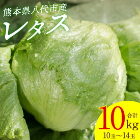 【ふるさと納税】 レタス 10kg (10玉～14玉) 野菜 葉物 やさい サラダ 付け合せ 新鮮 産地直送 冷蔵 送料無料
