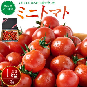 yӂ邳Ɣ[Łzys\z ~jg}g1kg g}g Ƃ܂ ~jg}g v`g}g  ₳ {̖ VNȖ nY {̂₳ VNȂ₳ n Y Yi  
