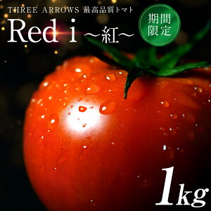 yӂ邳Ɣ[Łzys\z Red i `g` 1kg g}g Ƃ܂  ₳ {̖ VNȖ nY n Y Yi  ƒp H y2026N1{菇
