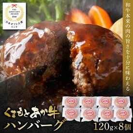 【ふるさと納税】 あか牛ハンバーグ 120g×8個入り 食品 グルメ 人気 お取り寄せグルメ うし 牛肉 ハンバーグ あか牛 日本ギフト大賞 牛
