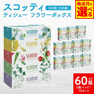 yӂ邳Ɣ[Łz yIׂ锭z yXRbeBz eBV[ t[{bNX 250gi5pbN×12 v60j eBbV pi Ki RpNg hД~ [OXgbN 