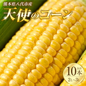 yӂ邳Ɣ[Łz ys\z F{sYuVg̃R[v2L`3LTCY v10{ XC[gR[ Ƃ낱 R[ Ƃ낱  y2026N5{菇