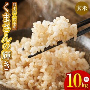 【ふるさと納税】【先行予約】《令和7年産》 くまさんの輝き 玄米 10kg 熊本県 八代市産 米 お米 国産 送料無料【2025年11月下旬より順次発送】