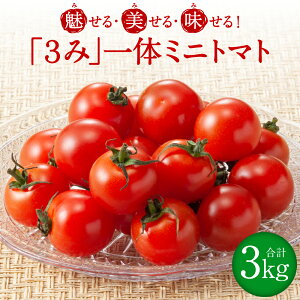 yӂ邳Ɣ[Łzys\zEEIu3݁ṽ~jg}gI sY g}g ~jg}g 3kg  Ƃ܂ F{ s  y2025N10{菇z