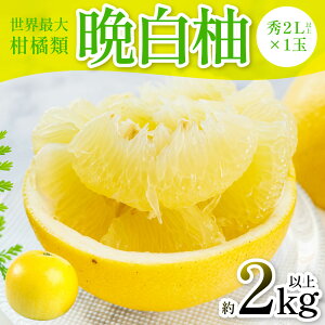 yӂ邳Ɣ[Łzys\z ӔMiG2Lȏ×1ʁj2kgȏ k ʕ t[c F{Y ΂؂ t[c k Yi  y2025N12{菇z