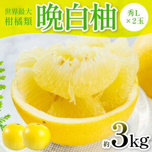 yӂ邳Ɣ[Łzys\z ӔMiGL×2ʁj3kg k ʕ t[c F{Y ΂؂ t[c k Yi  y2025N12{菇z
