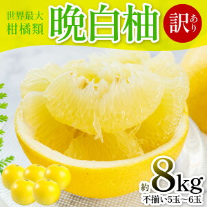 yӂ邳Ɣ[Łzys\z ӔM i󂠂Fs5`6ʁj8kg k ʕ t[c F{Y ΂؂ t[c k Yi  y2026N1{菇z