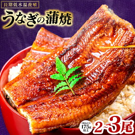 【ふるさと納税】令和8年熊本地震復興支援 【先行予約】 うなぎの蒲焼 2尾～3尾 合計350g～525g以上 【選べる内容量】 鰻 うなぎ ウナギ 国産 冷凍 うな重 蒲焼 丑の日 熊本県 八代市 送料無料 【2026年9月中旬より順次発送】