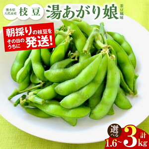 yӂ邳Ɣ[Łzys\z F{sY } 薺ij1.6kg`3kg yIׂeʁz ܂ G_}  { ܂ Hi  ٓ ̂ y   y