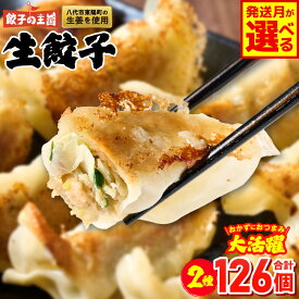 【ふるさと納税】 【選べる発送月】餃子の王国 人気 生餃子 126個 2種類 黒豚生餃子30個/工場直売生餃子96個 餃子 セット 食べ比べ 詰合せ ギョウザ ぎょうざ 中華 ショウガ おかず 惣菜 国産 八代市東陽町の生姜を使用 熊本県 九州 冷凍 送料無料