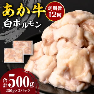 yӂ邳Ɣ[Łz yIׂցEPiz  z v500g 250g×2pbN z   Ⓚ F{Y BY Y 