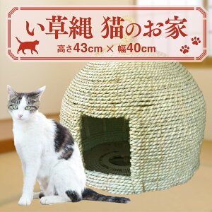 yӂ邳Ɣ[Łz L̂ 43cm×40cm LbgnEX L ˂ lR Lp   COT a G ybg nEX  CeA Mtg v[g BY Y 
