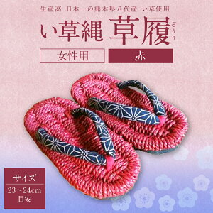yӂ邳Ɣ[Łz   p  bh fB[X TCY 23`24cmڈ   COT a C  T_ t@bV  a Y BY 