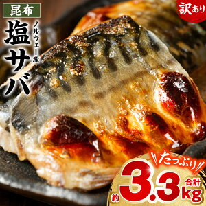 yӂ邳Ɣ[Łz y󂠂zzTo v3.3kg I  ^I ^To ^ NTo N NI N Ⓚ ỈĂ I̖X y ٓ ܂ 