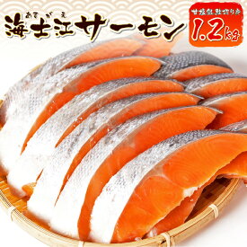 【ふるさと納税】海士江サーモン 約1.2kg 甘塩 銀鮭 サケ 切身 切り身 惣菜 おかず 魚 冷凍 送料無料