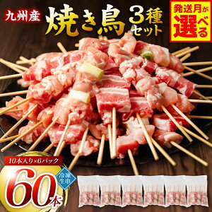 yӂ邳Ɣ[Łz yIׂ锭zՂ60{I BY ₫ƂZbg 3 60{ Ē Ă { ؃o lM}   o[xL[ BBQ y  {[ oGeB[ Y 