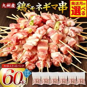 yӂ邳Ɣ[ŁzyIׂ锭z Ղ60{I BY ₫Ƃ {  lM}  60{ v1.8kgi30g×60{j ˂ Ē Ă o[xL[ BBQ y  {[ {  Y 