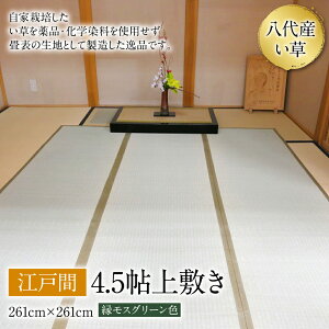 yӂ邳Ɣ[ŁzY  ]ˊ 4.5\ ~ 261cm×261cm COT Q SU H| ~ Y B 