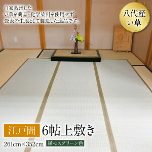 yӂ邳Ɣ[ŁzY  ]ˊ 6\ ~ 261cm×352cm COT Q SU H| ~ Y B 