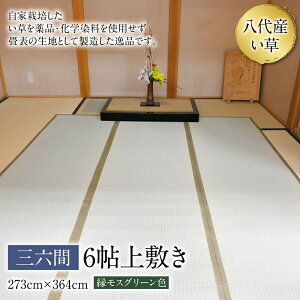 yӂ邳Ɣ[ŁzY  OZ 6\ ~ 273cm×364cm COT Q SU H| ~ Y B 