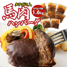 【ふるさと納税】タテガミ入り 馬肉ハンバーグ 8個セット 合計約1.6kg 200g×8個 デミグラスソース ハンバーグ 馬肉 惣菜 おかず 馬肉 タテガミ 真空パック 冷凍 送料無料