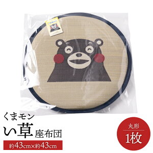 yӂ邳Ɣ[Łz܃  zc ی` 1 a43cm NbV  COT a R L  a G s BY Y { 