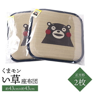 yӂ邳Ɣ[Łz܃  zc ` lp 2 43cm×43cm NbV  COT a R L  a G s BY Y { 