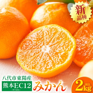 yӂ邳Ɣ[Łzys\z s zY EC12݂ 2kgȏ(8ʁ`20) k ~J  ʕ t[c fU[g  y2025N11{菇z