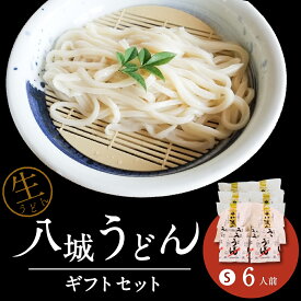 【ふるさと納税】八城うどん ギフトセットS 6人前 6食 生うどん 粉末 スープ やつしろうどん うどん ギフト プレゼント 八代市 九州 国内製造 冷蔵 送料無料