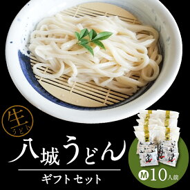 【ふるさと納税】八城うどん ギフトセットM 10人前 10食 生うどん 粉末 スープ やつしろうどん うどん ギフト プレゼント 八代市 九州 国内製造 冷蔵 送料無料